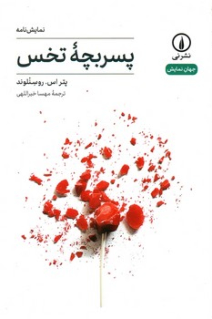 تصویر  پسر بچه تخس (رقعی-شمیز)